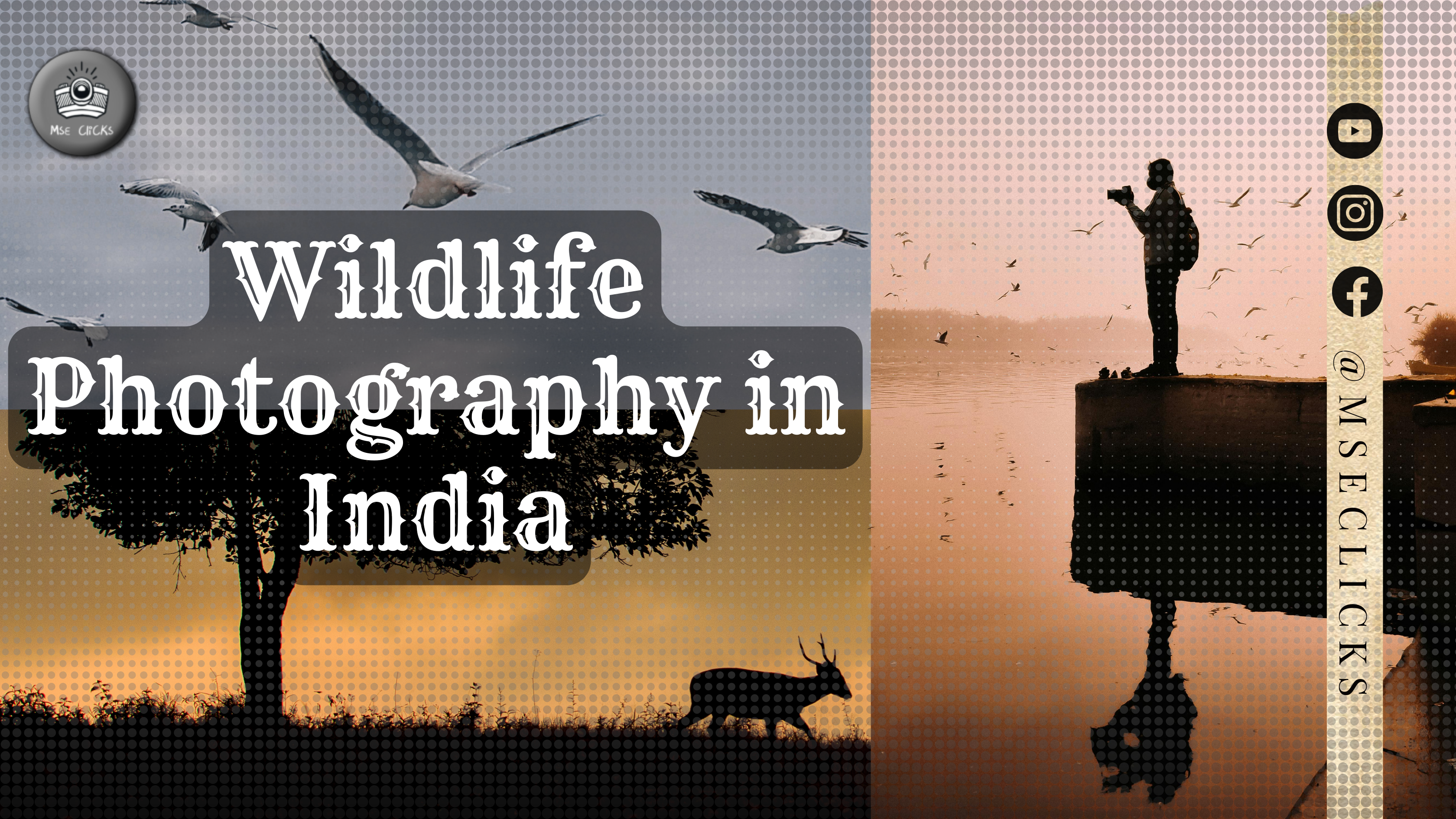 Unveiling the Wild: Through the eyes of a Wildlife Photographer in India